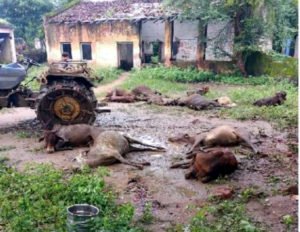 Chhattisgarh Crimes