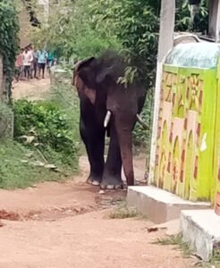 Chhattisgarh Crimes
