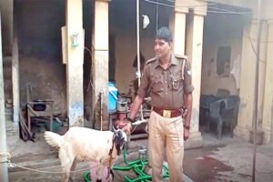 Chhattisgarh Crimes