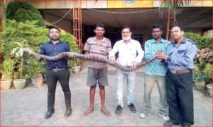 Chhattisgarh Crimes
