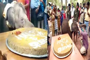 Chhattisgarh Crimes