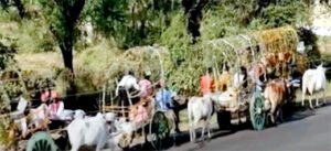 Chhattisgarh Crimes