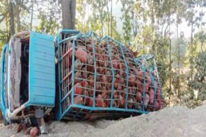 Chhattisgarh Crimes