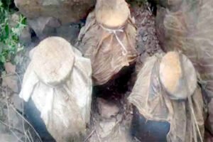 Chhattisgarh Crimes