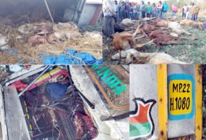 Chhattisgarh Crimes