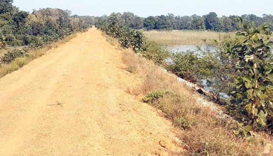 Chhattisgarh Crimes