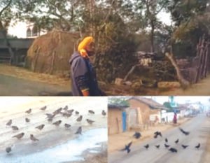 Chhattisgarh Crimes