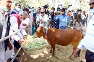 Chhattisgarh Crimes
