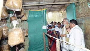 Chhattisgarh Crimes