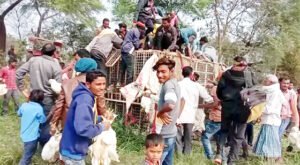 Chhattisgarh Crimes