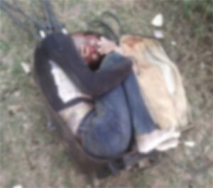 Chhattisgarh Crimes