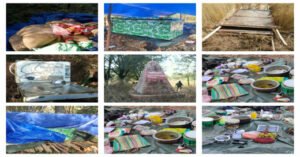 Chhattisgarh Crimes