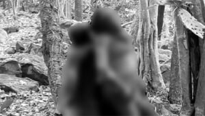 Chhattisgarh Crimes