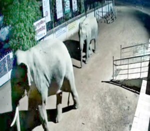 Chhattisgarh Crimes