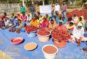Chhattisgarh Crimes