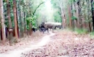 Chhattisgarh Crimes