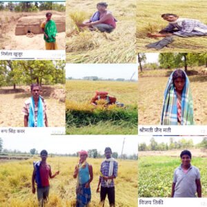 Chhattisgarh Crimes