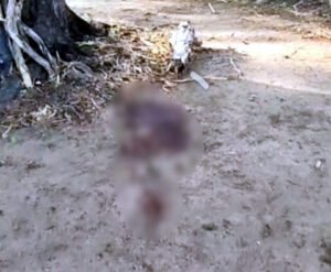 Chhattisgarh Crimes