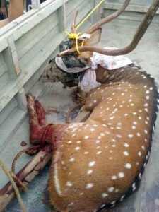 Chhattisgarh Crimes