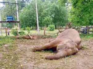 Chhattisgarh Crimes