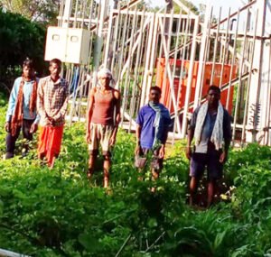 Chhattisgarh Crimes