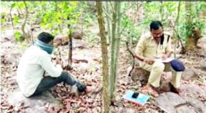 Chhattisgarh Crimes