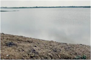 Chhattisgarh Crimes