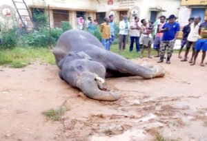 Chhattisgarh Crimes