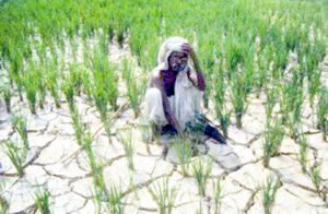 Chhattisgarh Crimes