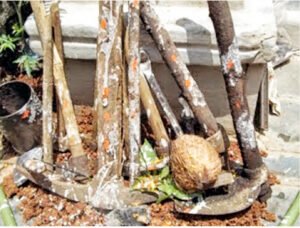 Chhattisgarh Crimes