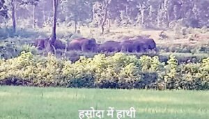 Chhattisgarh Crimes
