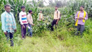Chhattisgarh Crimes