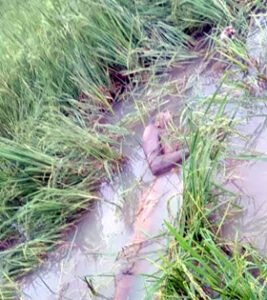 Chhattisgarh Crimes