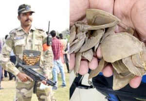 Chhattisgarh Crimes
