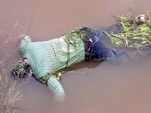 Chhattisgarh Crimes