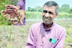 Chhattisgarh Crimes