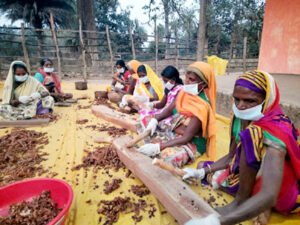 छत्तीसगढ़ सरकार की योजनाओं से आदिवासी क्षेत्रों में खुले खुशहाली के नये दरवाजे Chhattisgarh Crimes