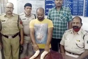 हाथी दांत के साथ तस्कर गिरफ्तार Chhattisgarh Crimes