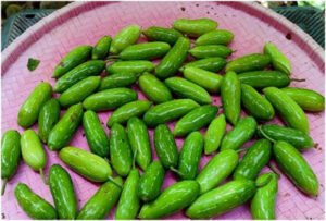 डायबिटीज पेशेंट के लिए असरदार है इस सब्जी की पत्ती, अपने आप कंट्रोल में रहेगा ब्लड शुगर लेवल Chhattisgarh Crimes