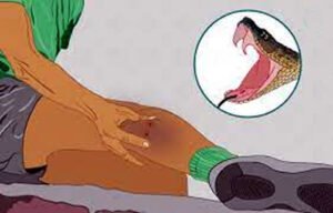 Chhattisgarh Crimes