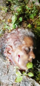 Chhattisgarh Crimes