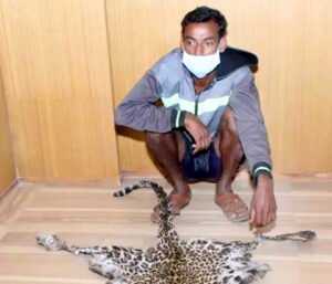 Chhattisgarh Crimes