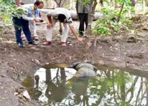 Chhattisgarh Crimes