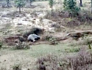 Chhattisgarh Crimes