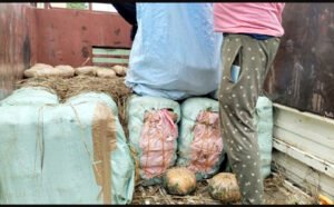 Chhattisgarh Crimes
