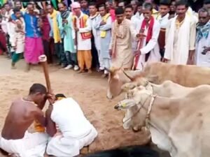 Chhattisgarh Crimes