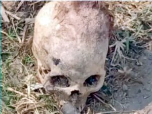 Chhattisgarh Crimes