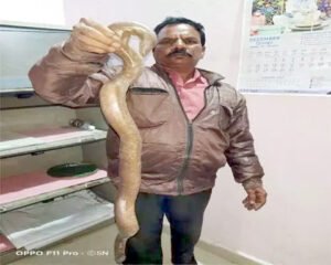 Chhattisgarh Crimes
