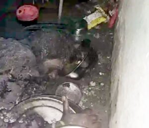 Chhattisgarh Crimes