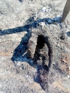Chhattisgarh Crimes